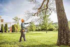 How Our Tree Care Process Works  in  Morgans Point Resort, TX